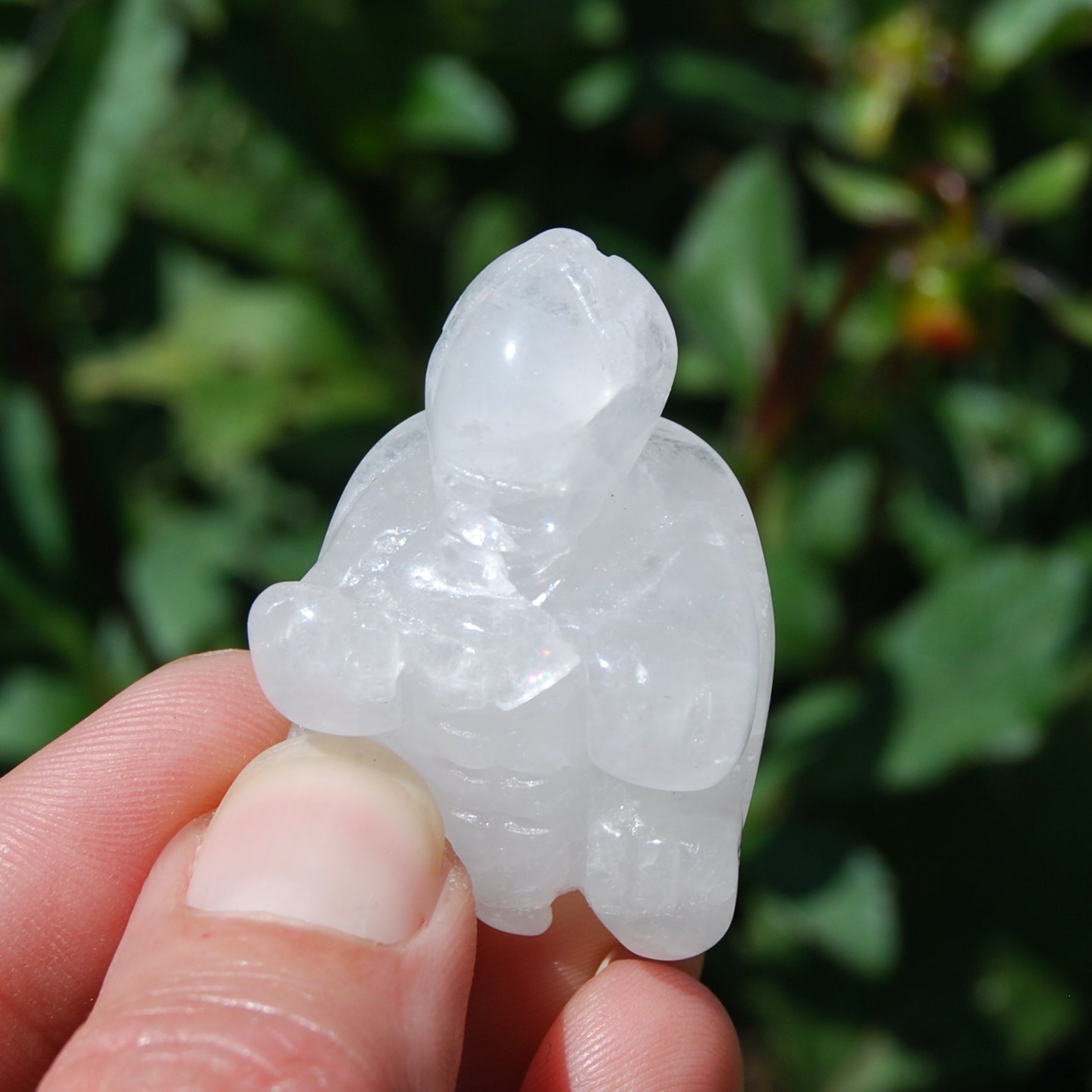 Clear Quartz Carved Crystal Turtle