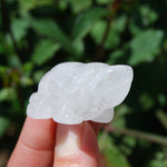 Clear Quartz Carved Crystal Turtle