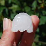 Clear Quartz Carved Crystal Turtle