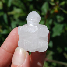 Load image into Gallery viewer, Clear Quartz Carved Crystal Turtle
