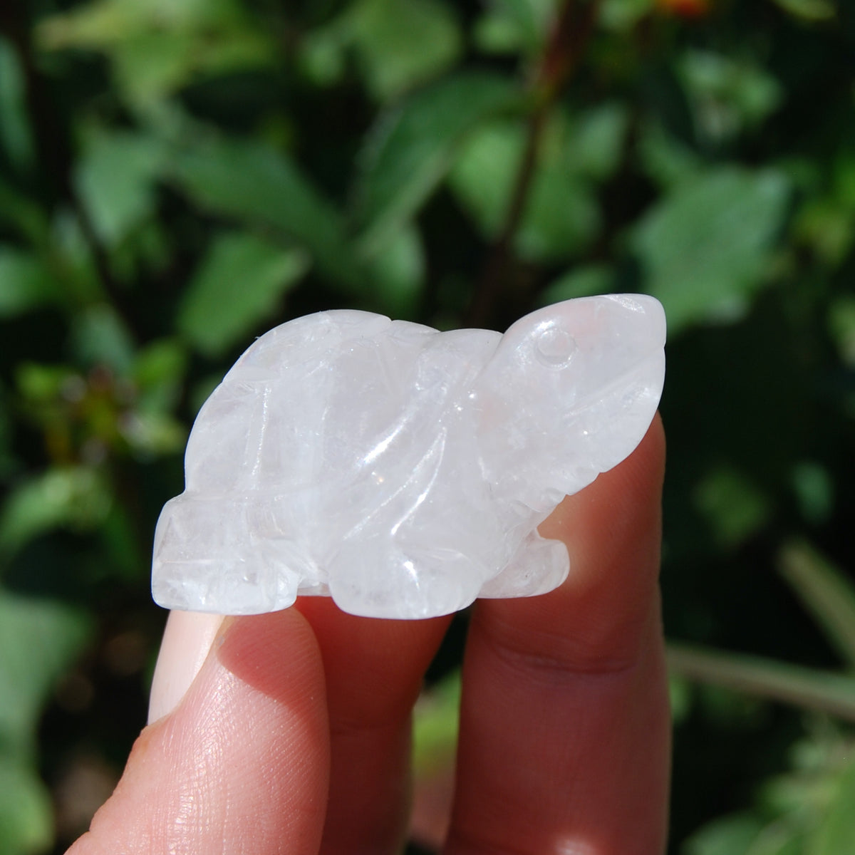 Clear Quartz Carved Crystal Turtle