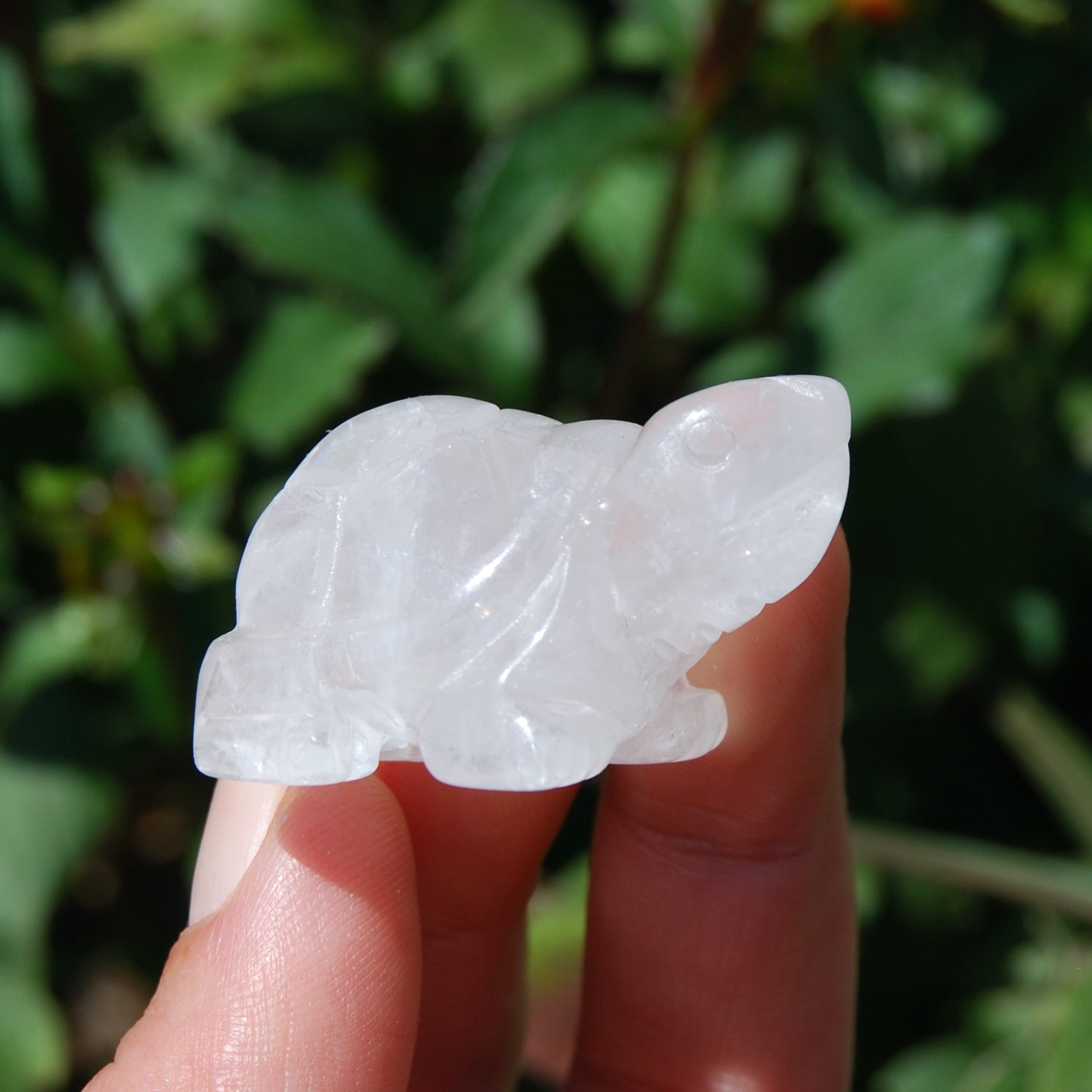 Clear Quartz Carved Crystal Turtle