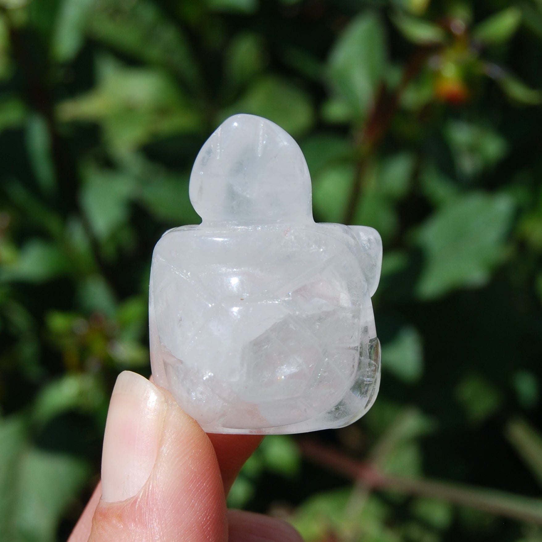 Clear Quartz Carved Crystal Turtle
