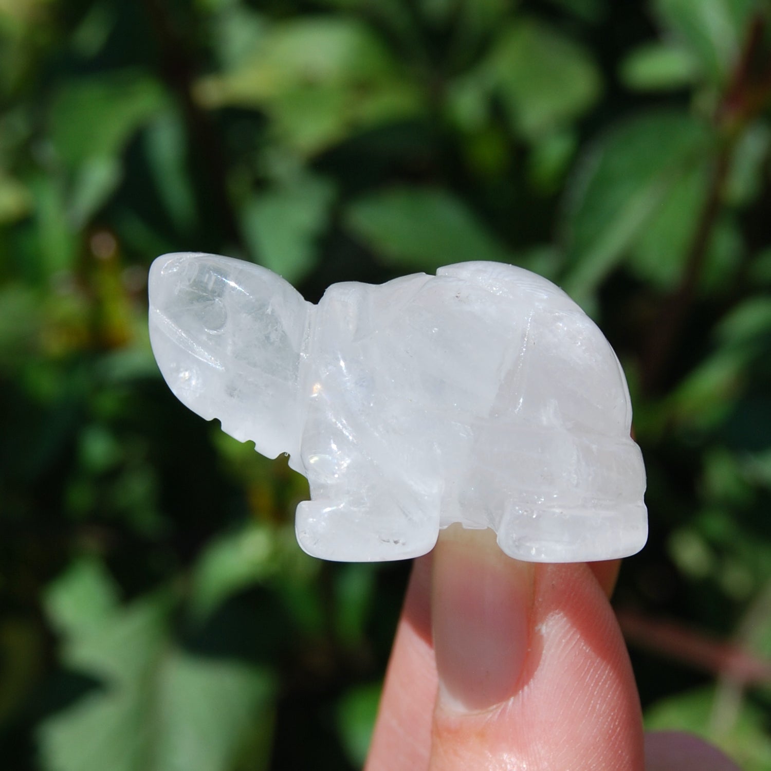 Clear Quartz Carved Crystal Turtle