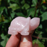 Rose Quartz Carved Crystal Turtle