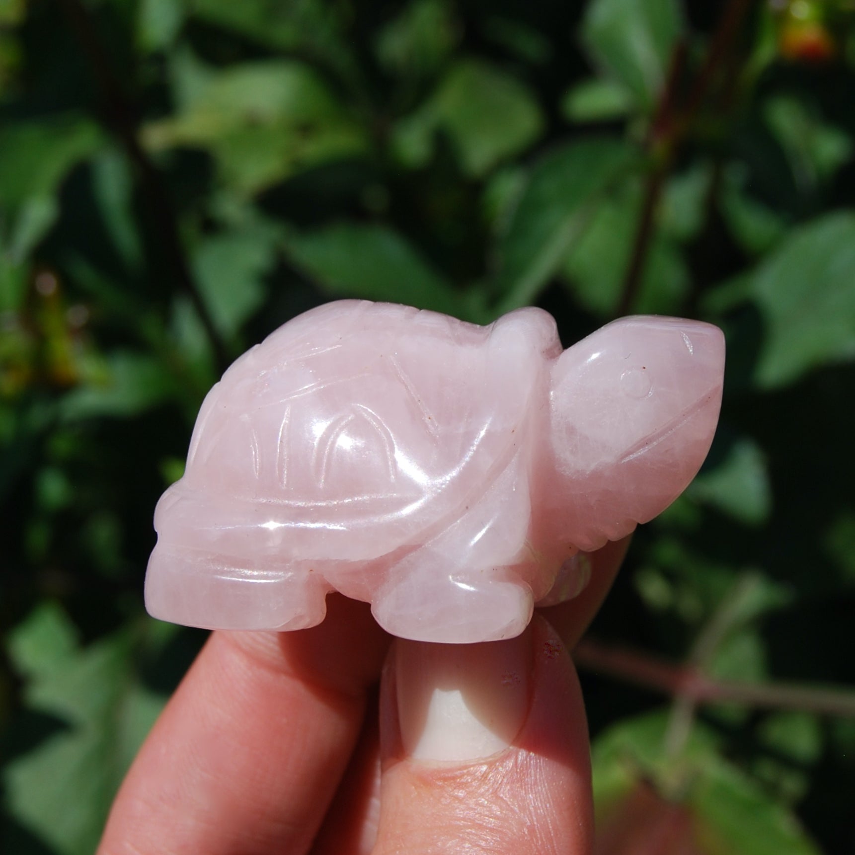 Rose Quartz Carved Crystal Turtle