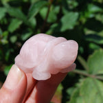 Rose Quartz Carved Crystal Turtle