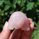 Rose Quartz Carved Crystal Turtle