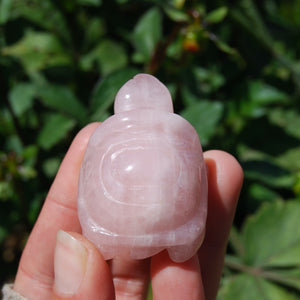 Rose Quartz Carved Crystal Turtle