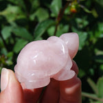 Rose Quartz Carved Crystal Turtle