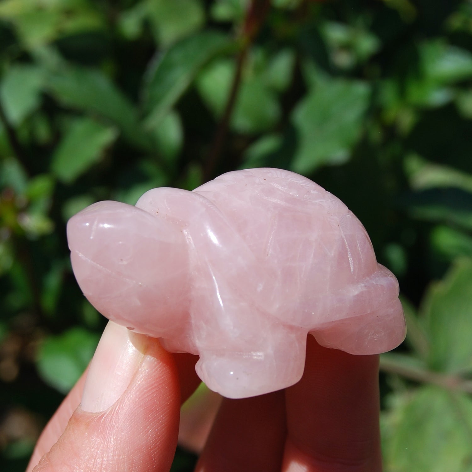 Rose Quartz Carved Crystal Turtle
