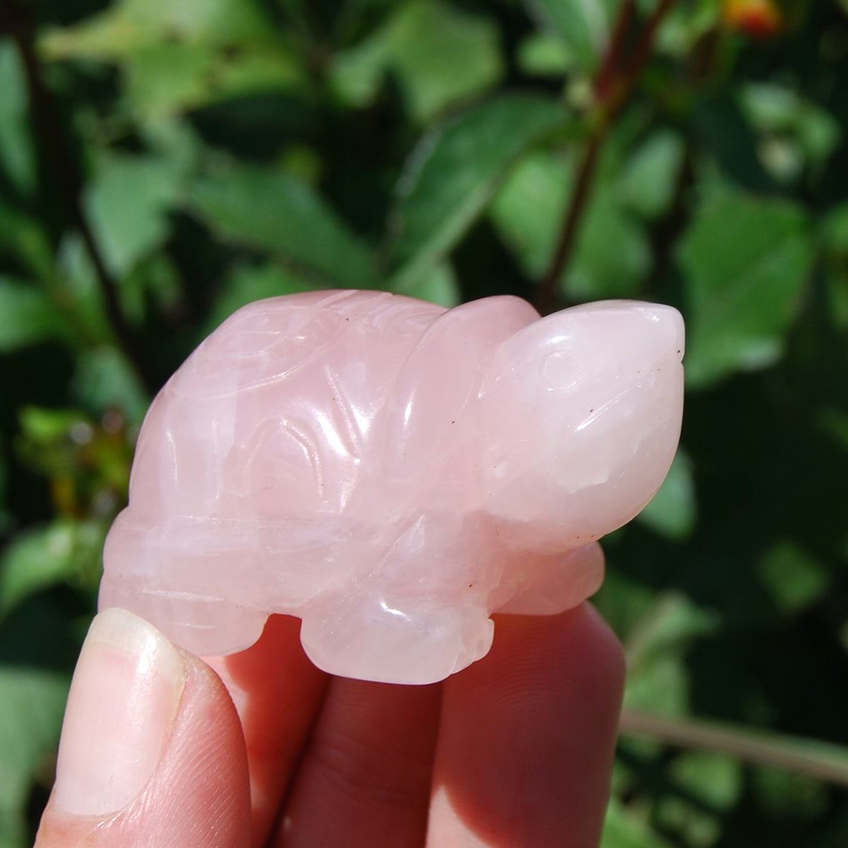 Rose Quartz Carved Crystal Turtle