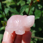 Rose Quartz Carved Crystal Turtle