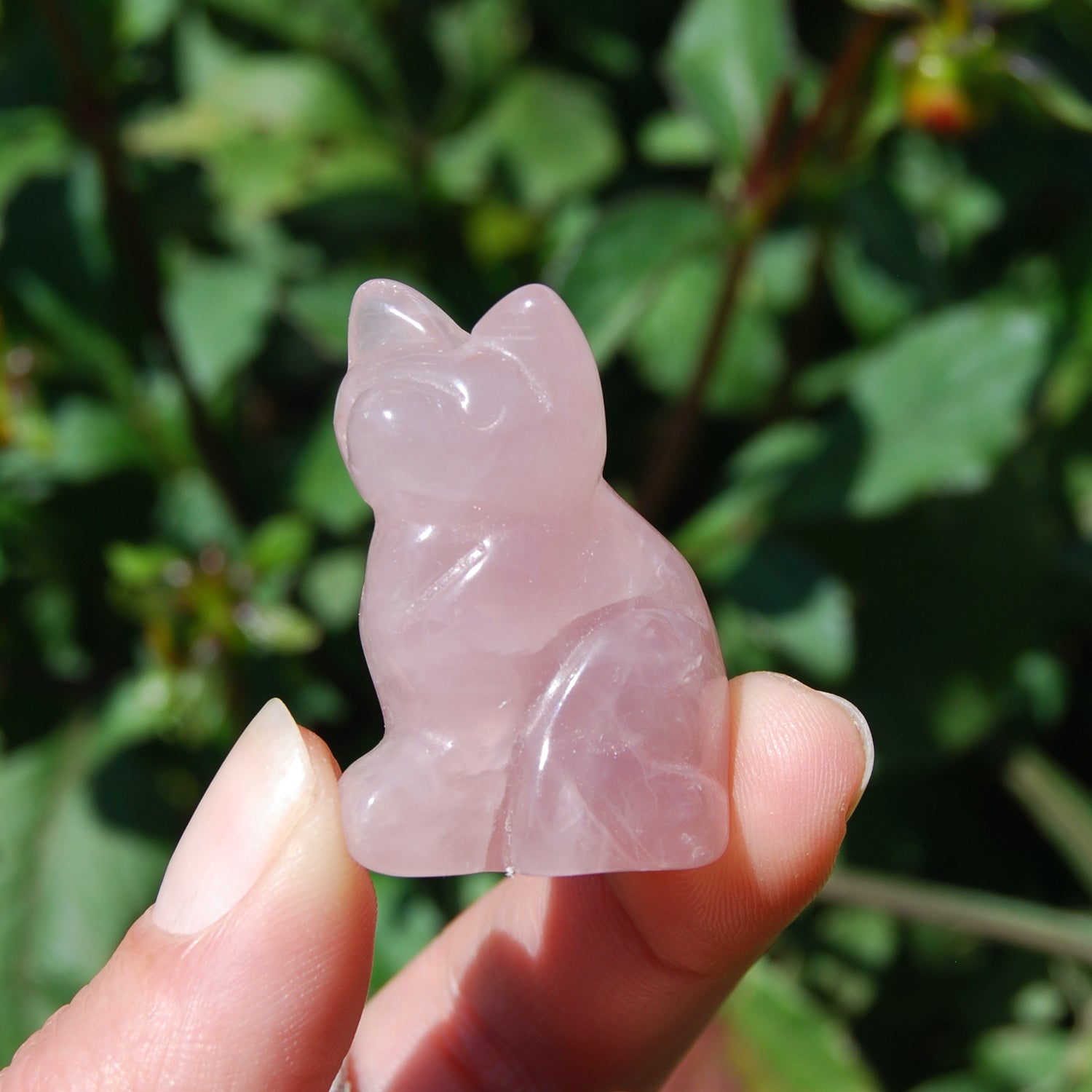 Rose Quartz Carved Crystal Cat
