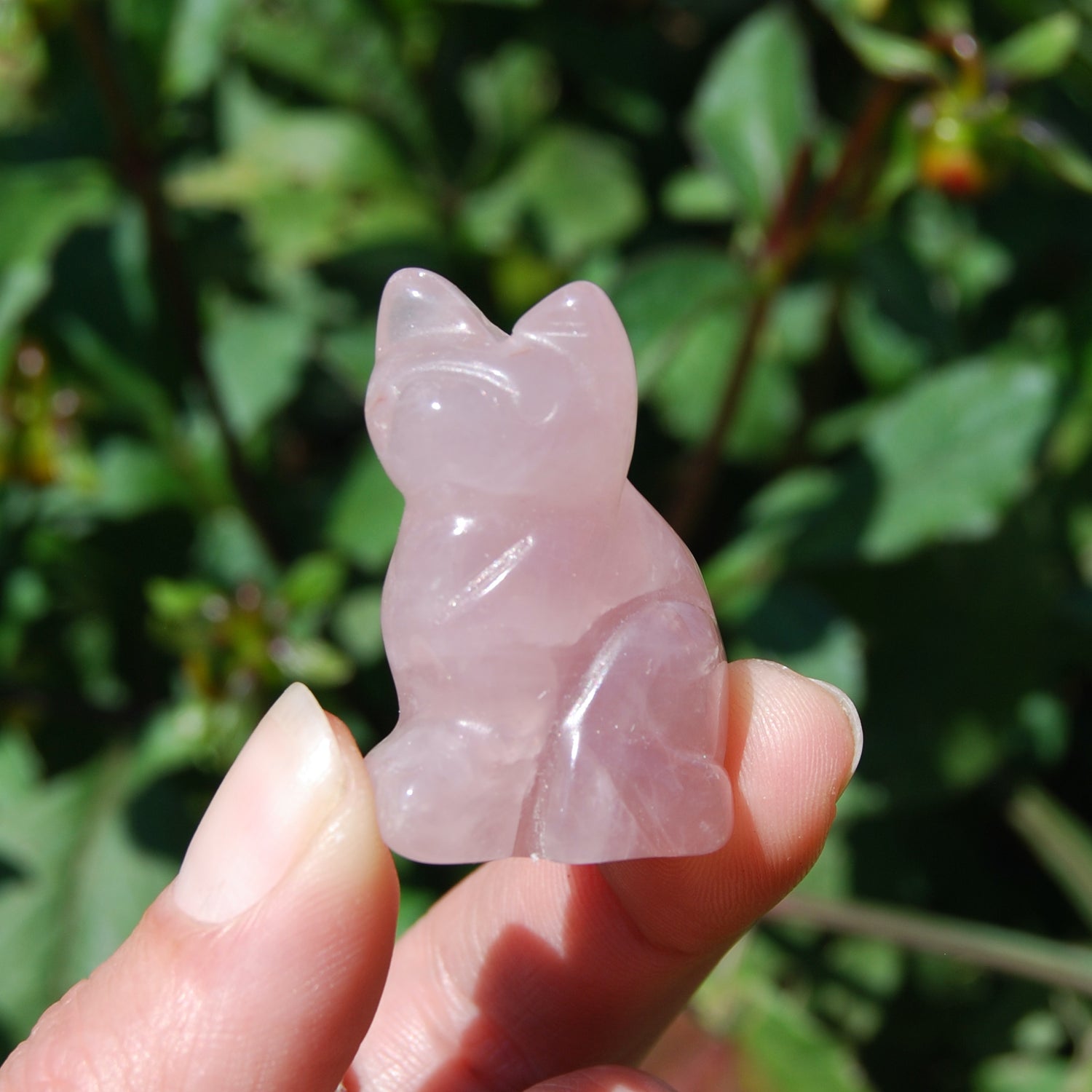Rose Quartz Carved Crystal Cat