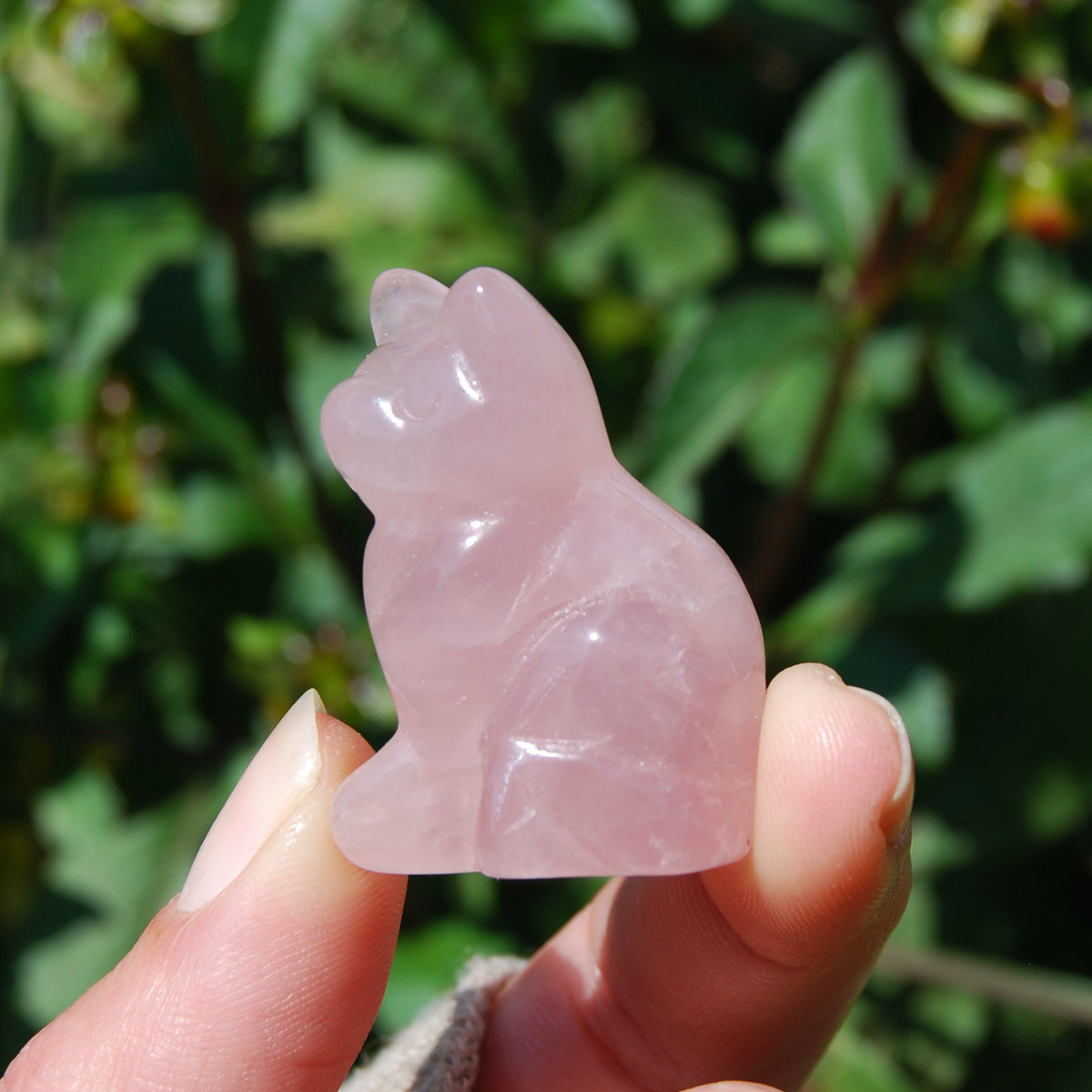 Rose Quartz Carved Crystal Cat