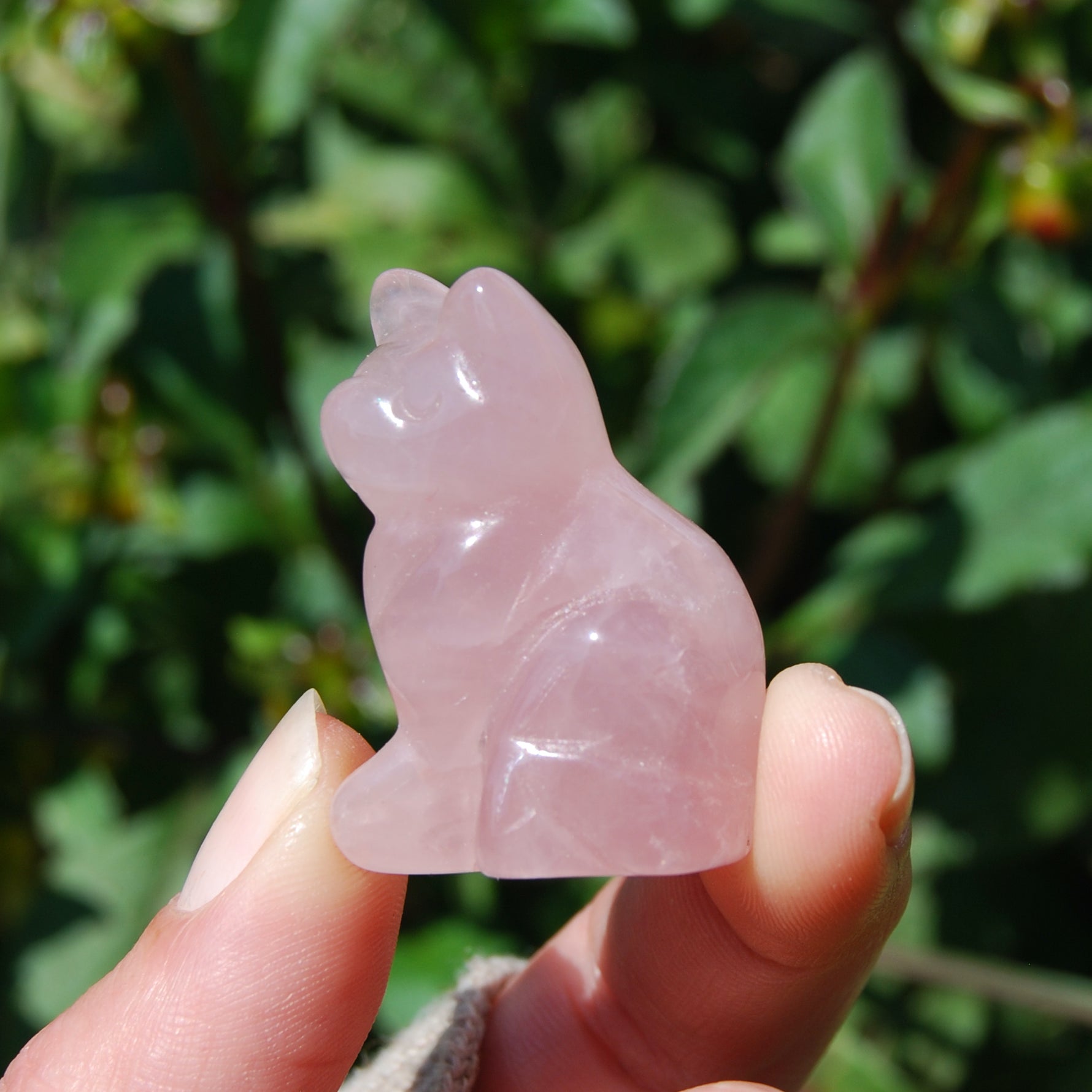 Rose Quartz Carved Crystal Cat