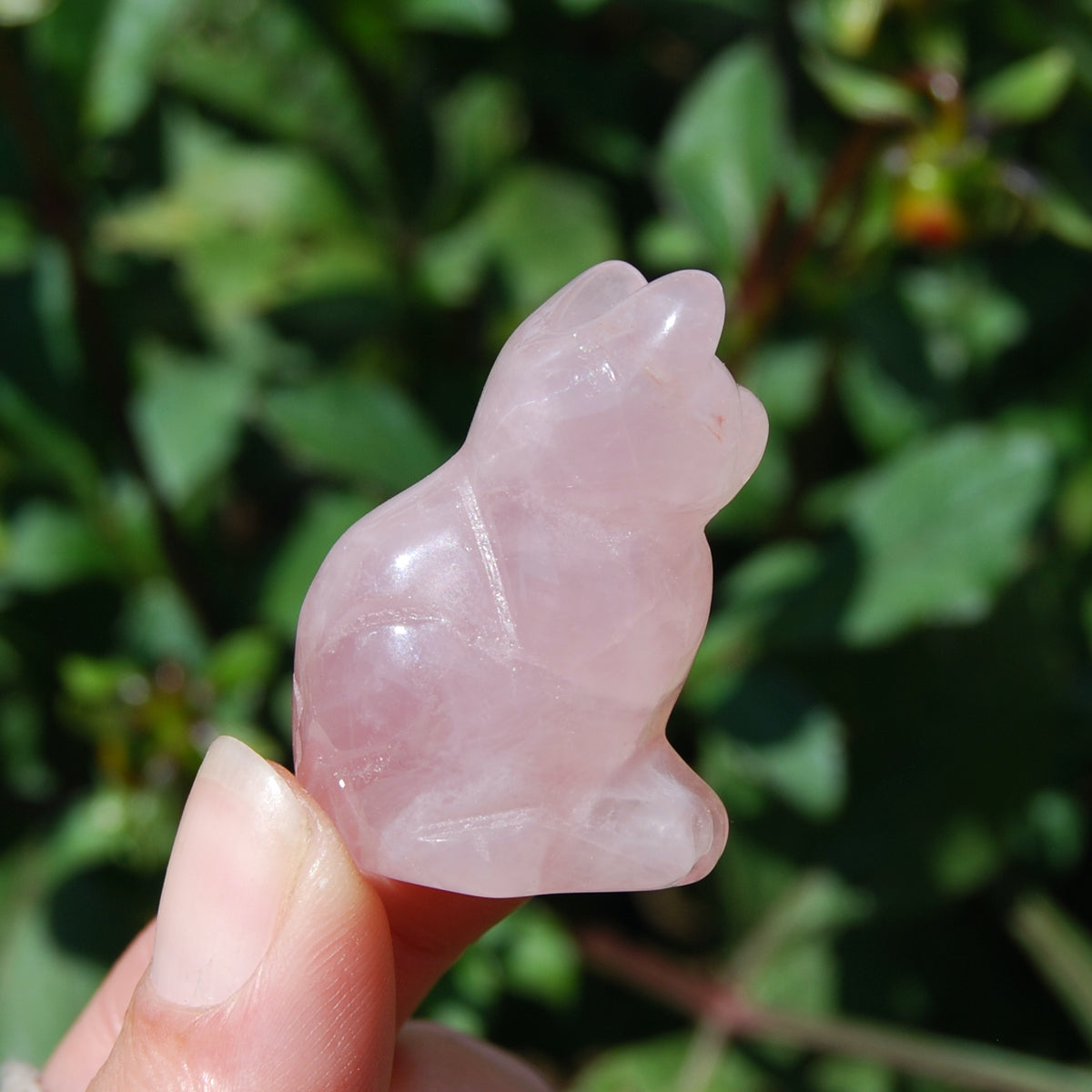 Rose Quartz Carved Crystal Cat