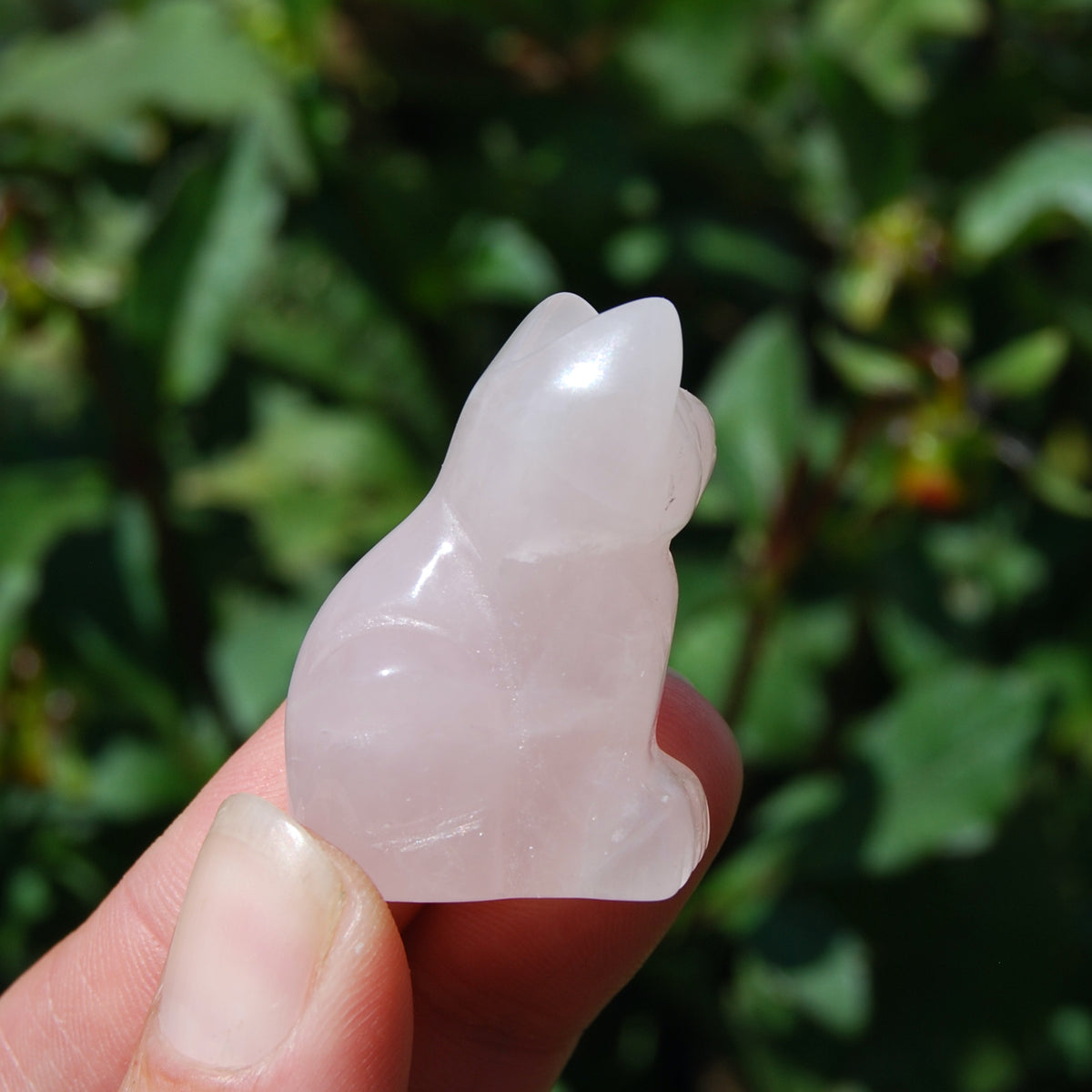 Rose Quartz Carved Crystal Cat