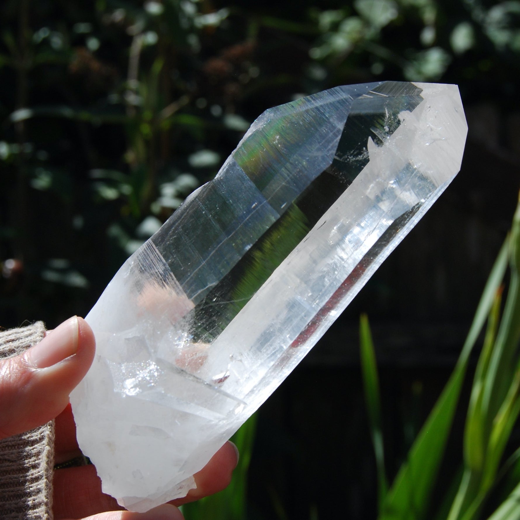 Transmitter Blades of Light Lemurian Crystal, Prismatic, La Belleza, Santander, Colombia