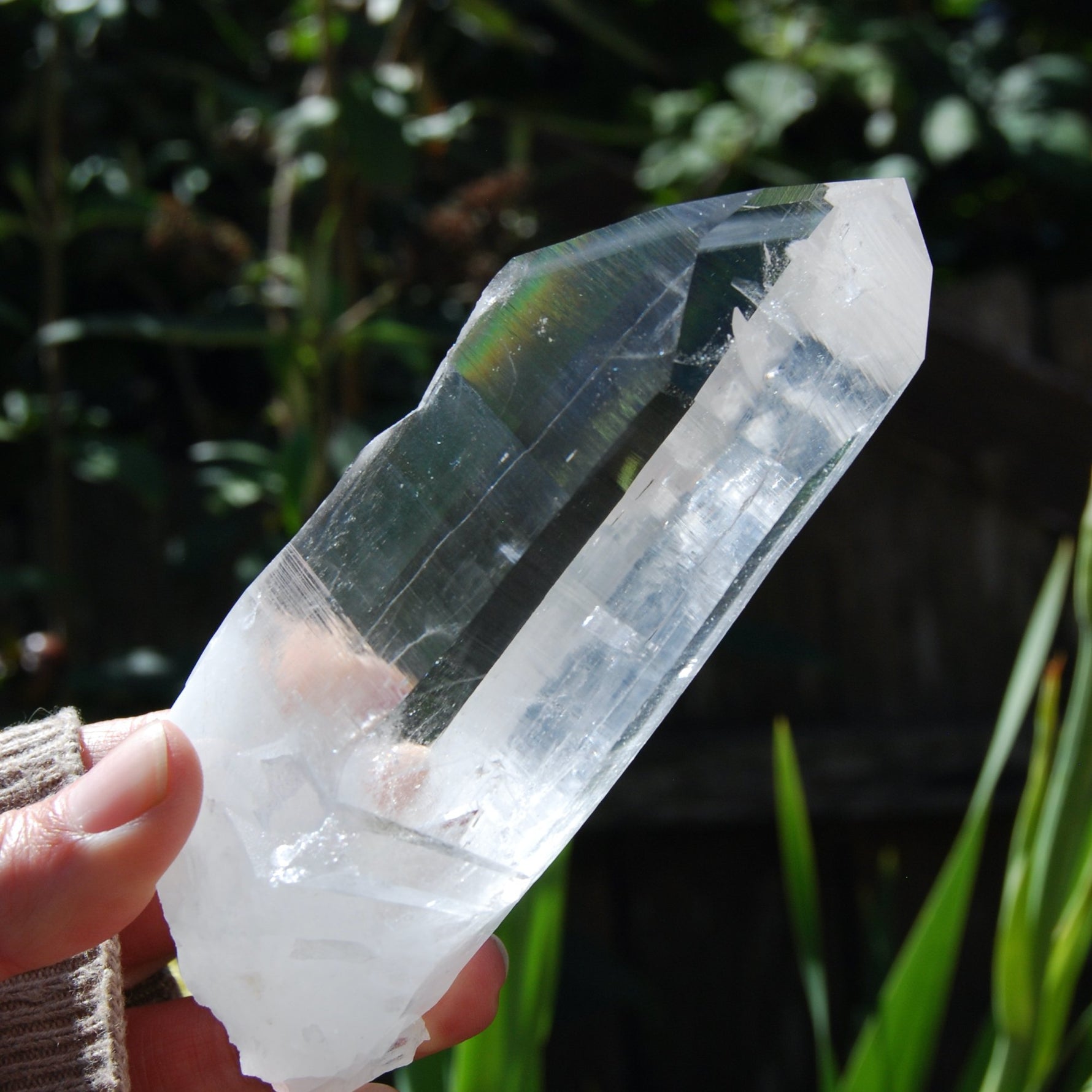 Transmitter Blades of Light Lemurian Crystal, Prismatic, La Belleza, Santander, Colombia