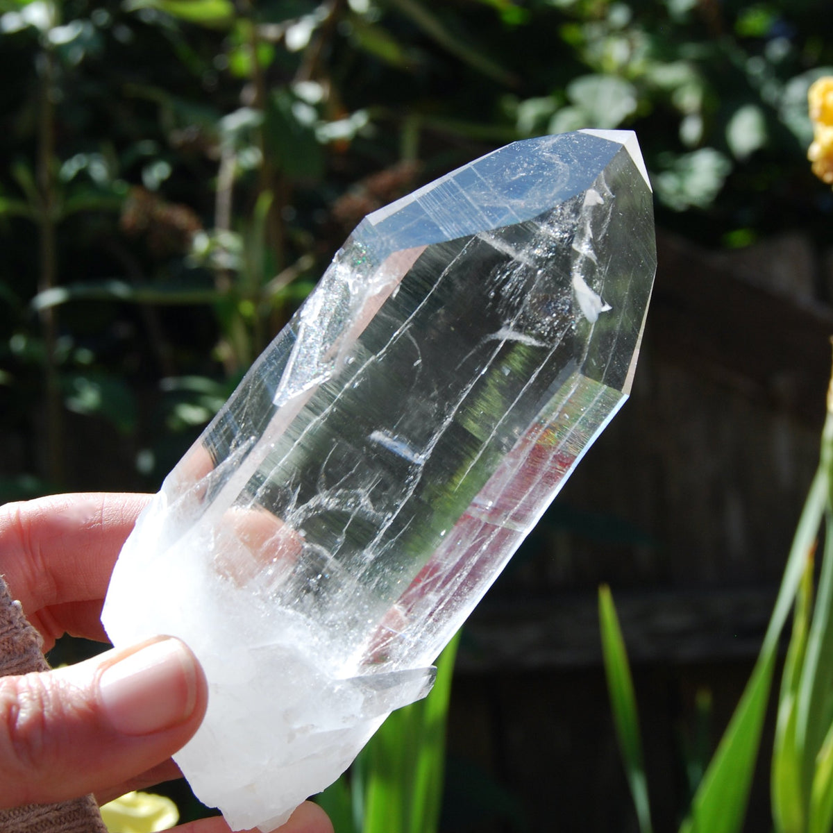 Transmitter Blades of Light Lemurian Crystal, Prismatic, La Belleza, Santander, Colombia