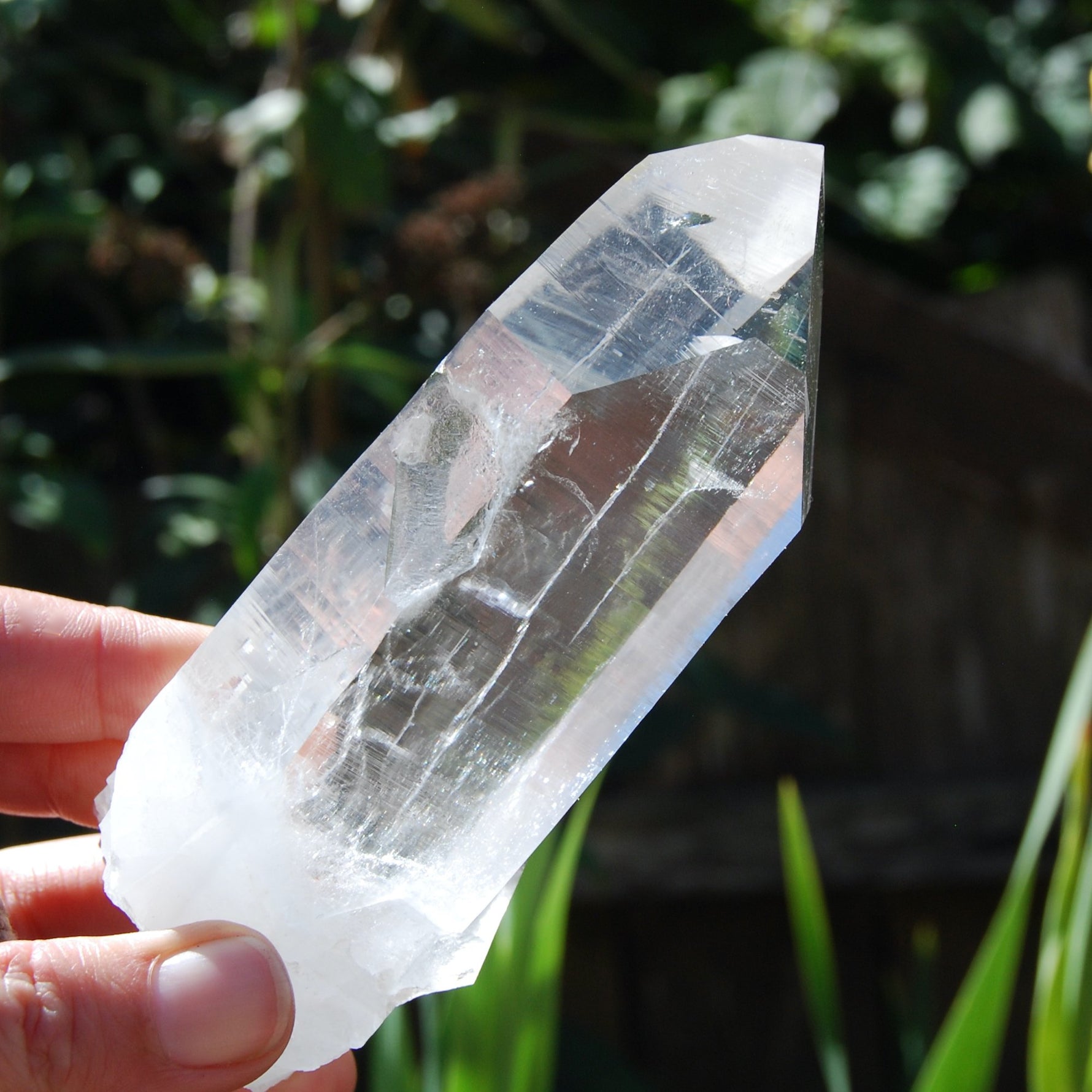 Transmitter Blades of Light Lemurian Crystal, Prismatic, La Belleza, Santander, Colombia