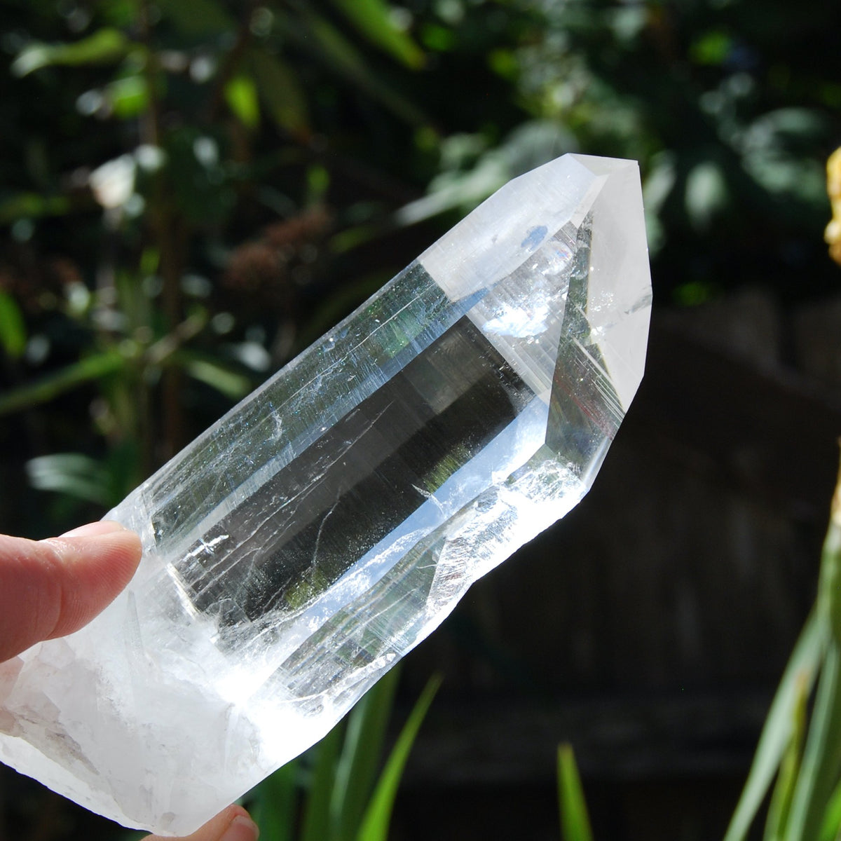 Transmitter Blades of Light Lemurian Crystal, Prismatic, La Belleza, Santander, Colombia