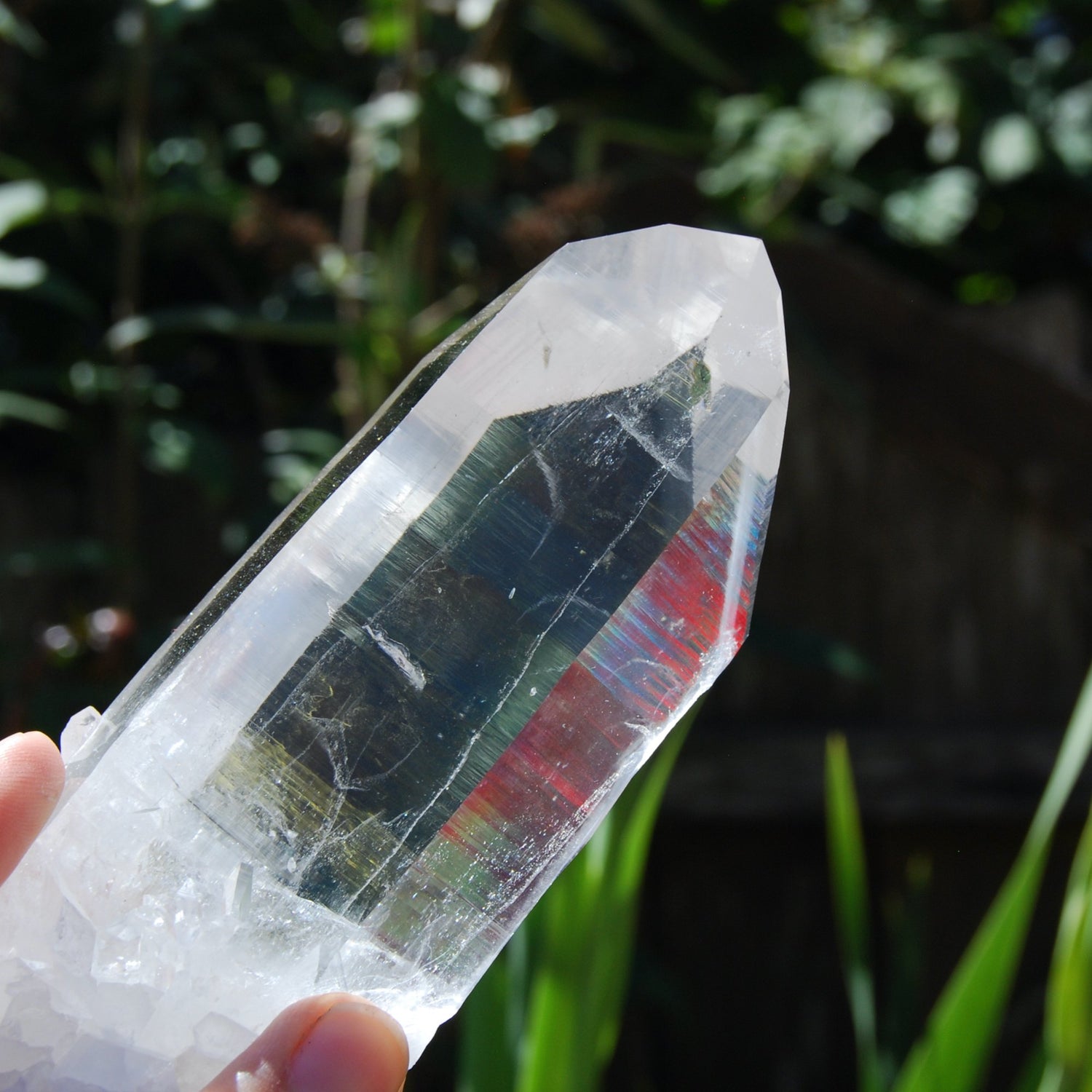 Transmitter Blades of Light Lemurian Crystal, Prismatic, La Belleza, Santander, Colombia