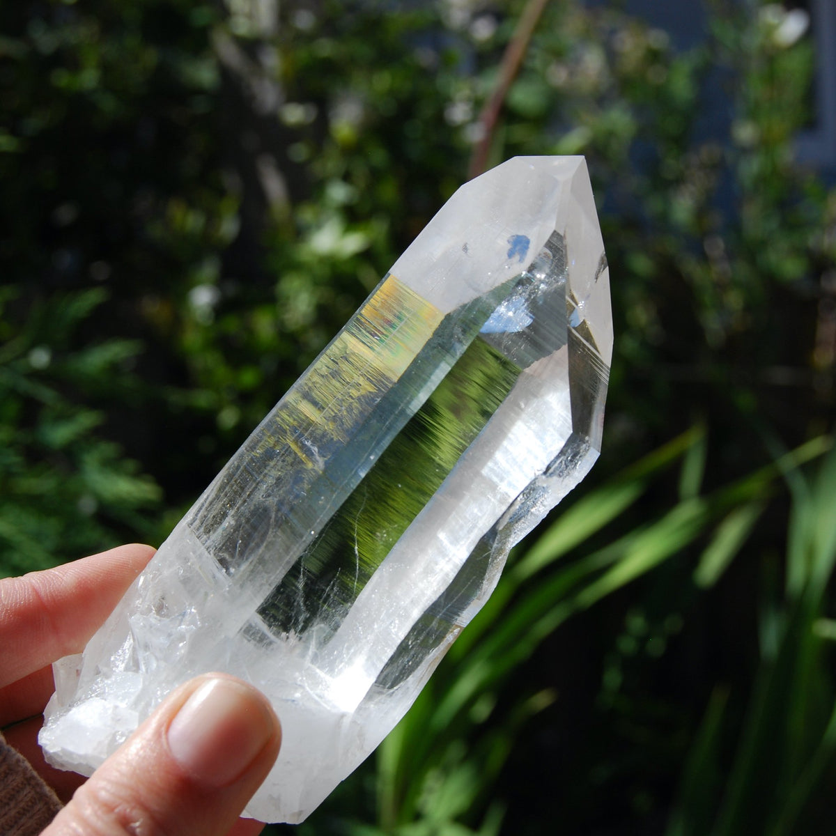 Transmitter Blades of Light Lemurian Crystal, Prismatic, La Belleza, Santander, Colombia