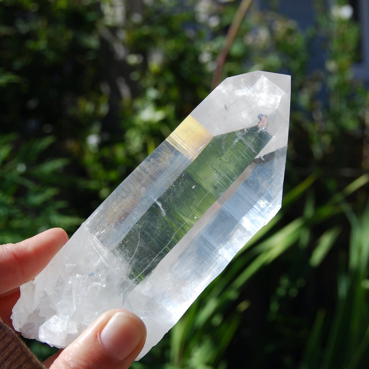 Transmitter Blades of Light Lemurian Crystal, Prismatic, La Belleza, Santander, Colombia