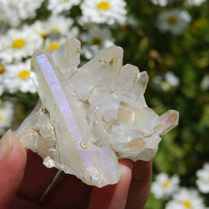 Angel Aura Crystal Cluster