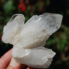 Load image into Gallery viewer, Sugar Quartz Crystal Cluster, Madagascar
