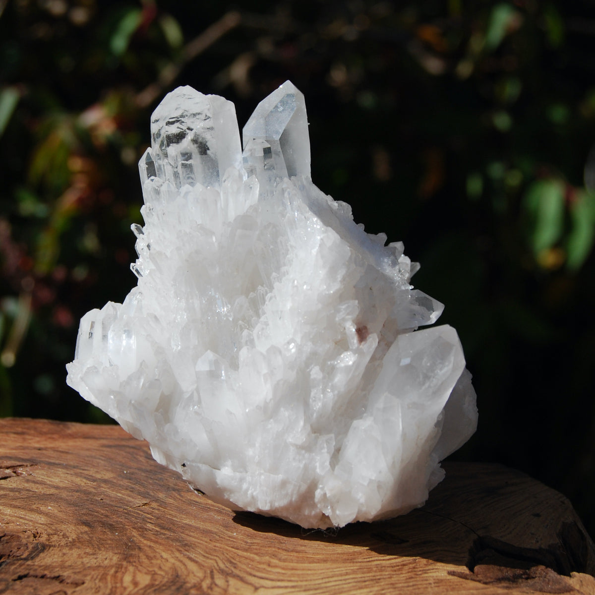 Transmitter Sugar Quartz Crystal Cluster