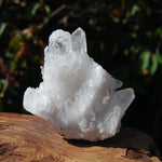 Transmitter Sugar Quartz Crystal Cluster
