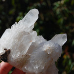 Sugar Quartz Crystal Cluster, Madagascar