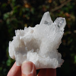 Transmitter Sugar Quartz Crystal Cluster