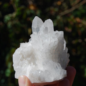 3.75in 358g Transmitter Sugar Quartz Crystal Cluster, Self Healed Lightbrary, Madagascar b1