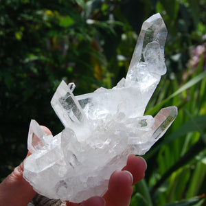 Transmitter Lemurian Quartz Crystal Cluster