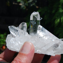 Load image into Gallery viewer, Transmitter Lemurian Quartz Crystal Cluster
