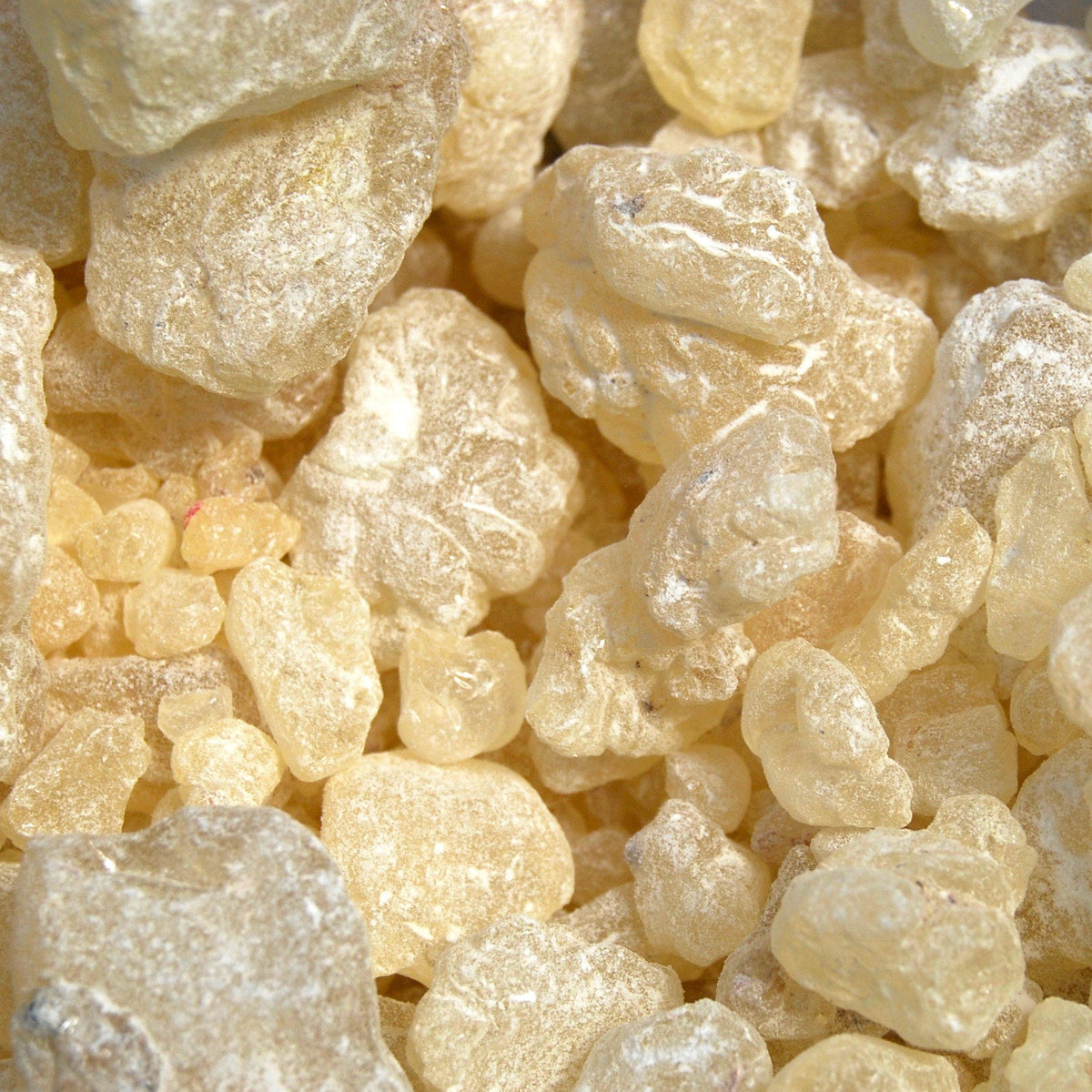 White Copal Natural Resin Incense 