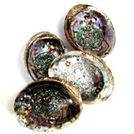 Green Abalone Shell for Crafts or Incense Burner Large