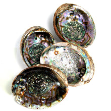 Load image into Gallery viewer, Green Abalone Shell for Crafts or Incense Burner Large
