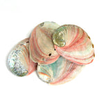 Red Abalone Shell
