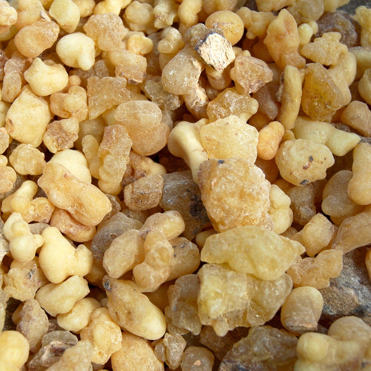 Ethiopian Frankincense Tears Natural Resin Incense 