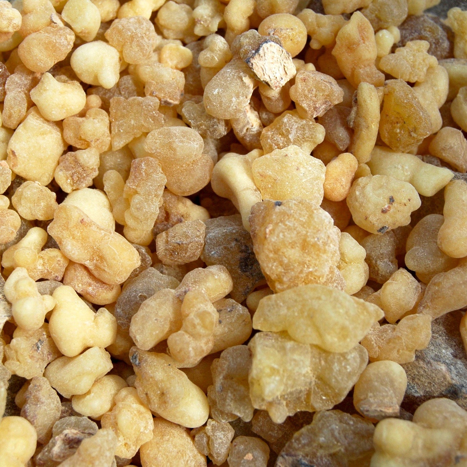 Ethiopian Frankincense Tears Natural Resin Incense 