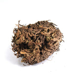 LARGE Rose of Jericho Resurrection Flower Plant Selaginella Lepidophylla Blessing Money Love Abundance Fortune Drawing Dinosaur