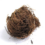 LARGE Rose of Jericho Resurrection Flower Plant Selaginella Lepidophylla Blessing Money Love Abundance Fortune Drawing Dinosaur