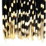 African Porcupine Quills