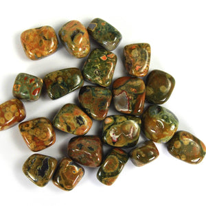 Rhyolite Rainforest Jasper Tumbled Stones